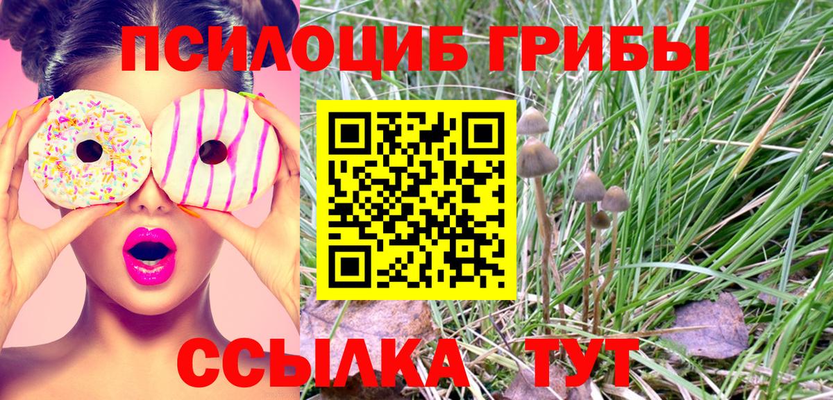 Псилоцибиновые грибы мухоморы  Вход с VPN  Соль-Илецк 
